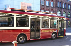 Charlottetown bus
